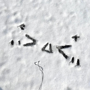 女兵裸体A级毛片视频
