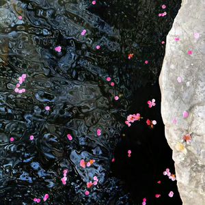 女兵裸体A级毛片视频
