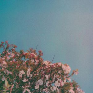 女兵裸体A级毛片视频
