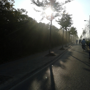 女兵裸体A级毛片视频
